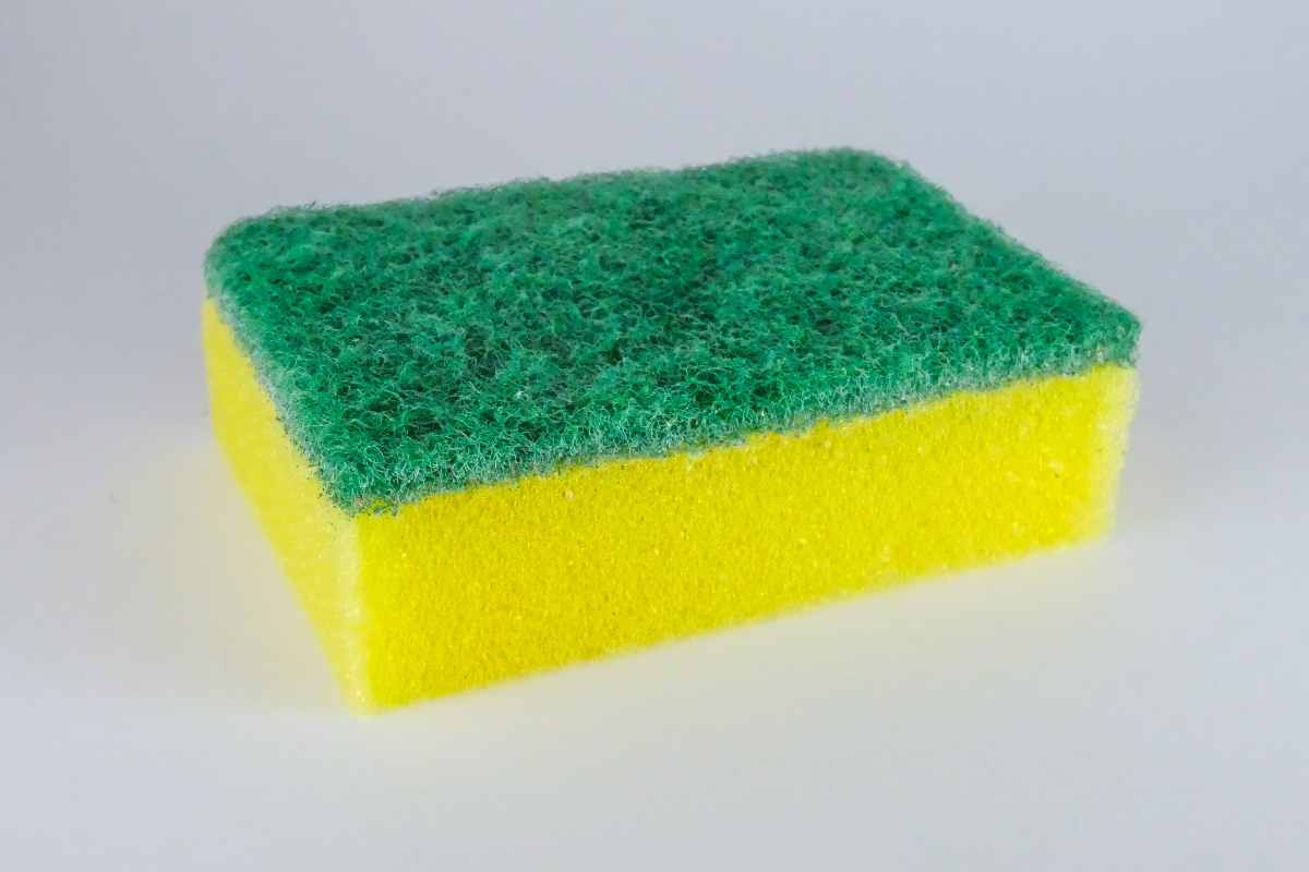 segreto spugna da cucina