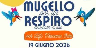 Mugello repriro