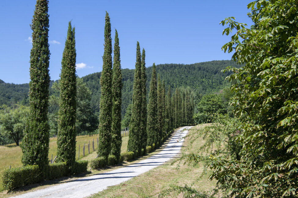 Tenuta Acqua Panna