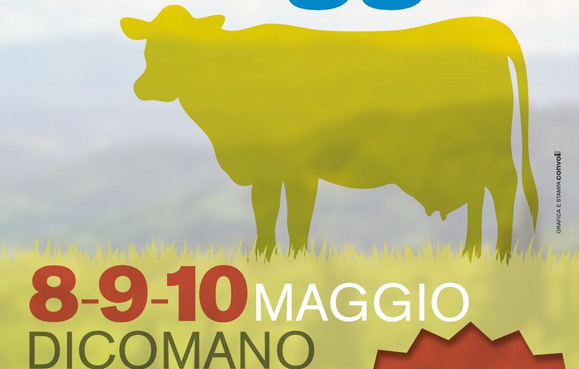 Locandina fiera di maggio