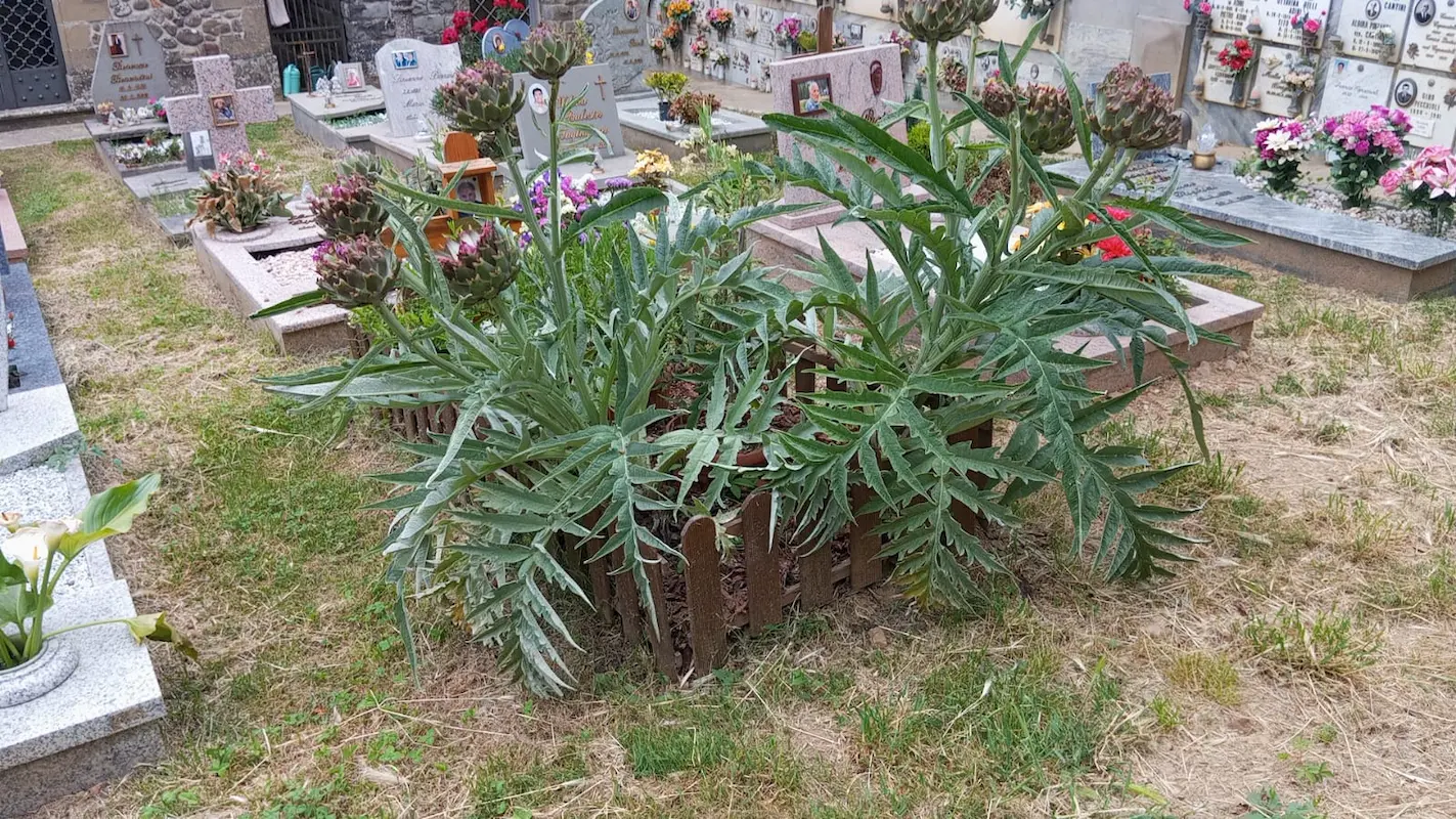 Sangiovanni cimitero