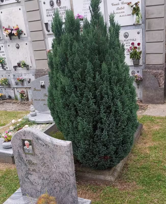 Sangiovanni cimitero2