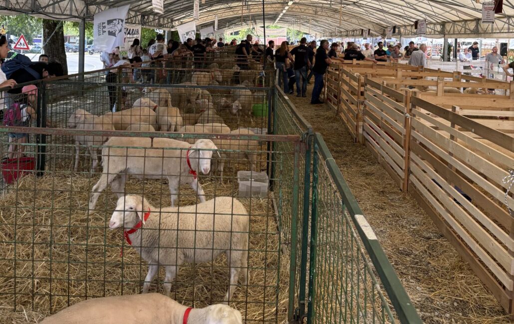 Fiera Agricola