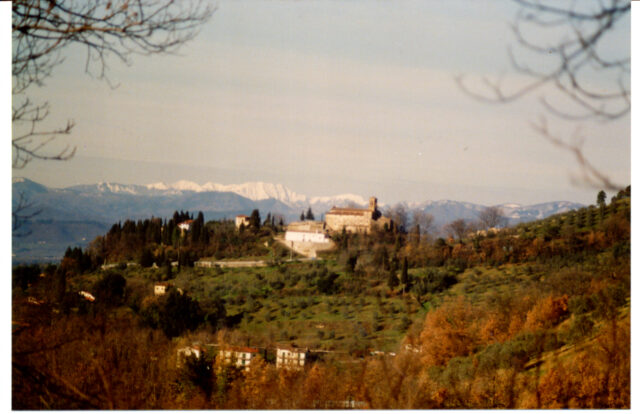 Pulicciano 1