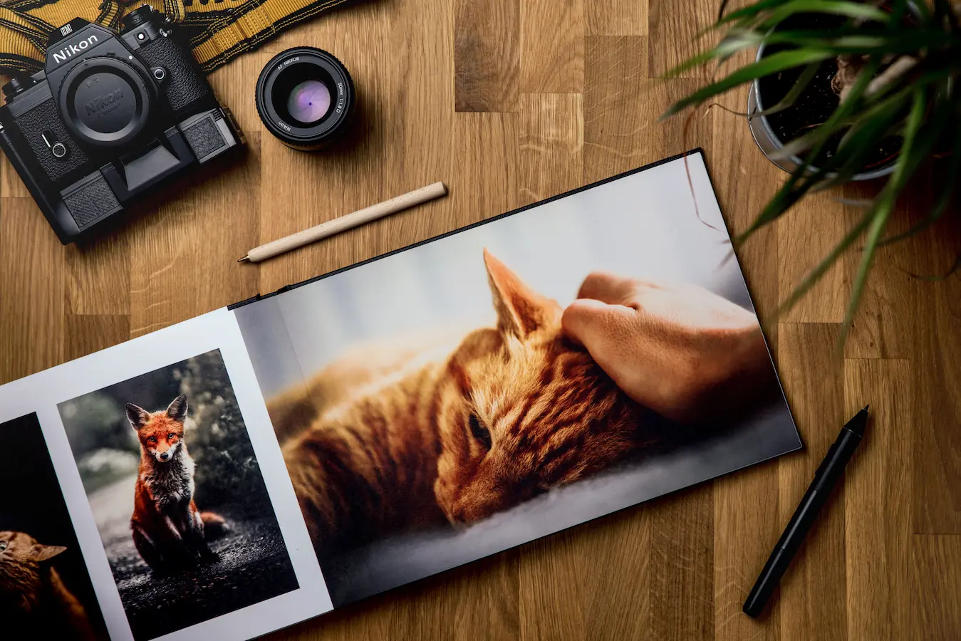 Fotolibri