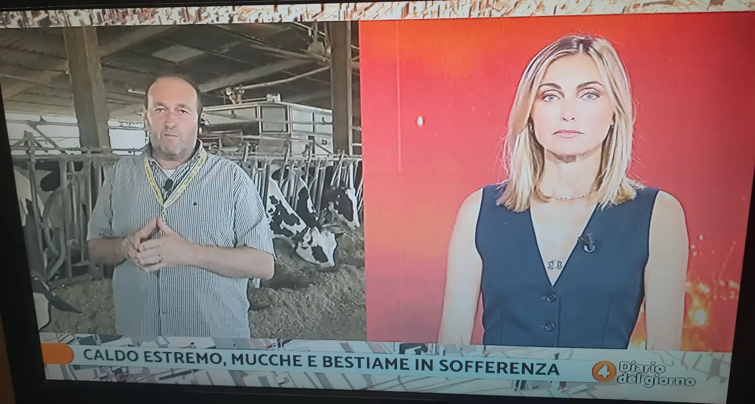 Simonegrossi