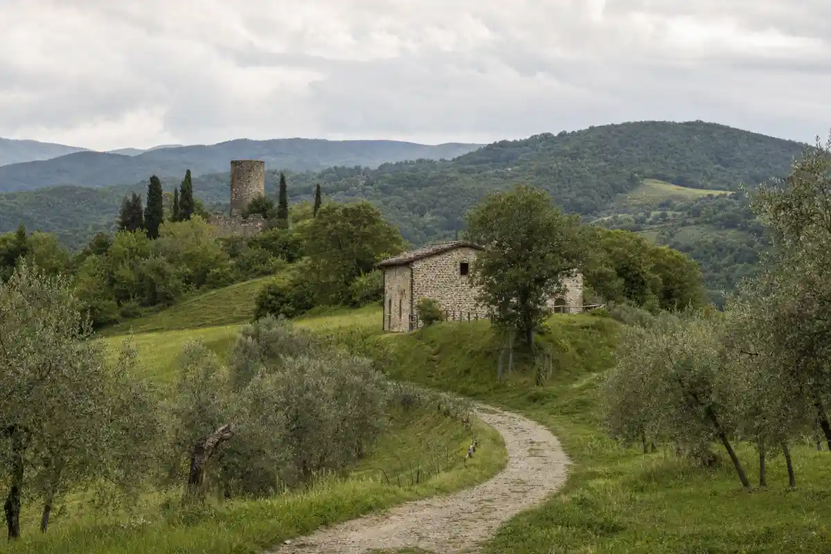 Sentiero di campagna tra ulivi verso una casa in pietra, con torre cilindrica in rovina sulle colline sullo sfondo