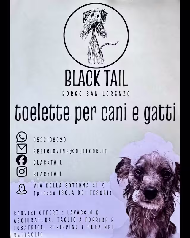 Blacktail
