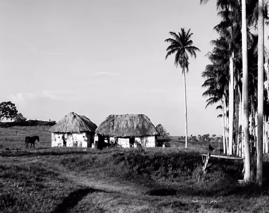 Bohiocubano2