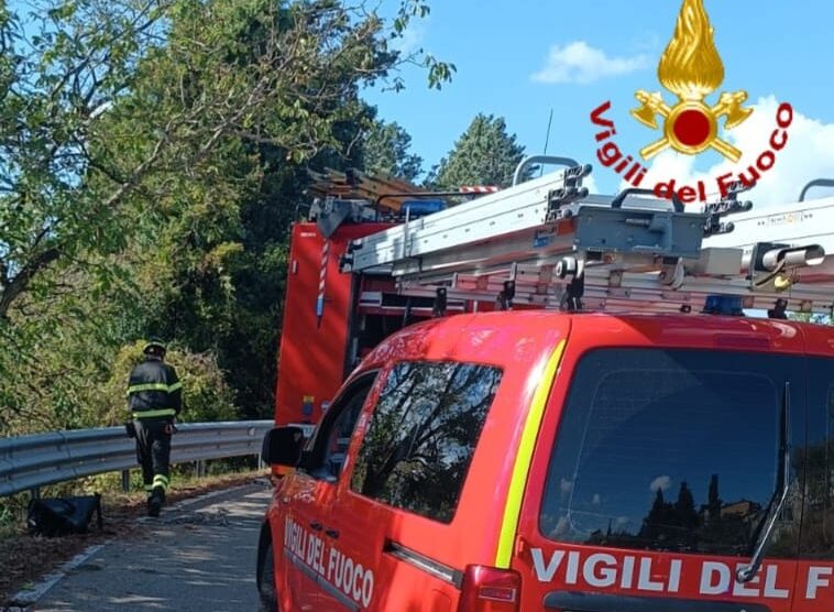Vigili settembre 2026 12