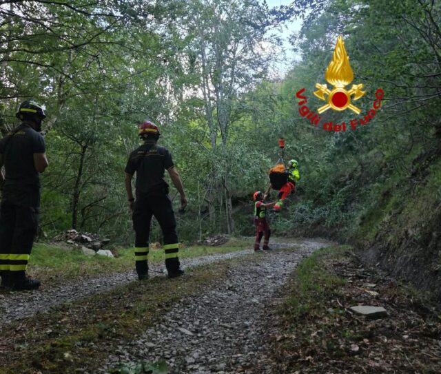Vigili settembre 2026
