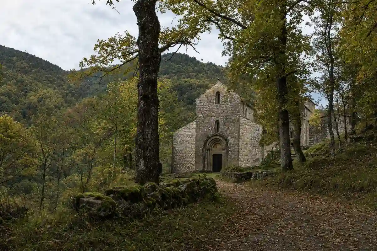 Abbazia in pietra tra alberi e colline boscose, con sentiero sterrato che porta al portale ad arco