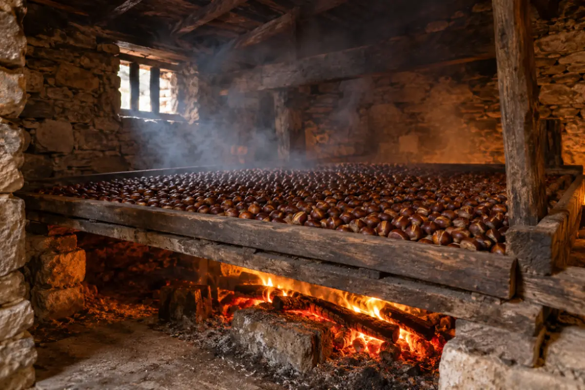 Castagne in essiccazione sopra il fuoco