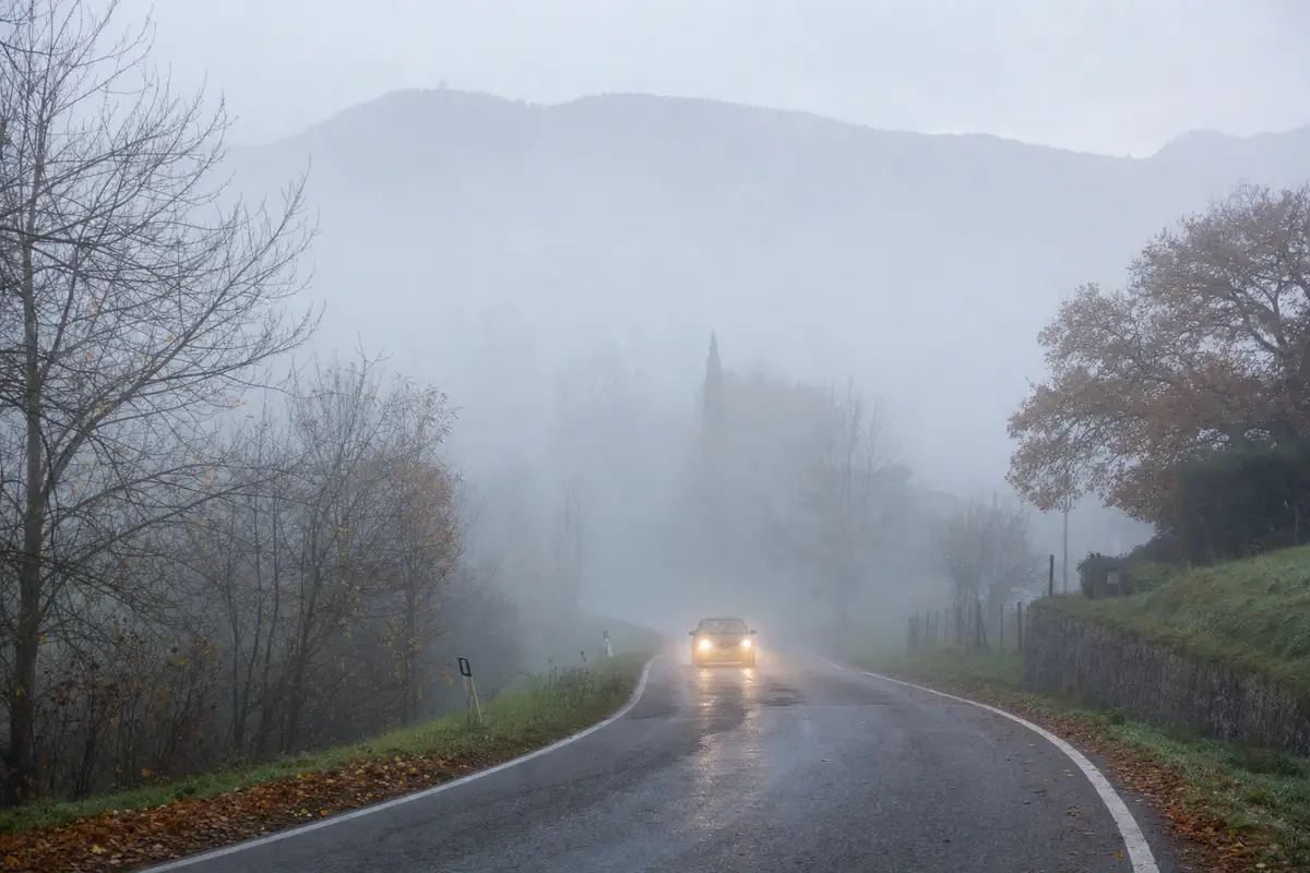 Auto con fari accesi su strada provinciale bagnata avvolta dalla nebbia, tra alberi autunnali e colline