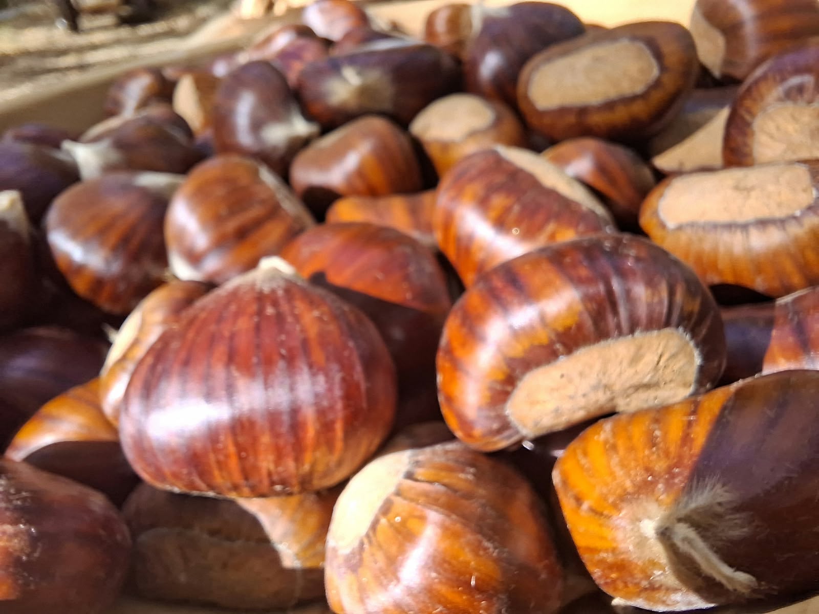 UnicoopFirenze, castagne